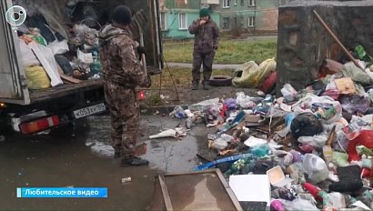 Прокуратура возбудила дело в отношении директора регионального оператора по вывозу ТКО