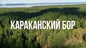 КАРАКАНСКИЙ БОР | Сибирь здесь – 09 октября 2025