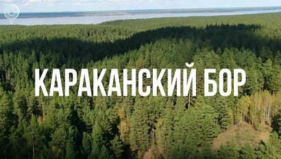 КАРАКАНСКИЙ БОР | Сибирь здесь – 09 октября 2025