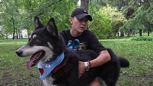 Новосибирские волонтёры помогают найти дом для собак