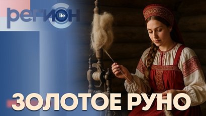 Регион LIFE | Золотое руно | ОТС LIVE — прямая трансляция
