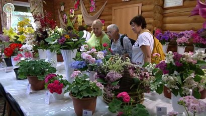 Выставка июльских цветов в Новосибирске привлекла внимание садоводов