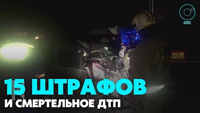 Жительница Новосибирска скончалась в результате столкновения «РАВ-4» и «Мерседеса»