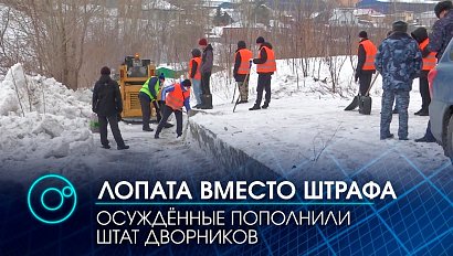 Улицы Новосибирска расчищают приговорённые к обязательным работам | Телеканал ОТС
