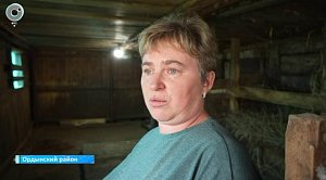 НОВОСТИ в 18:30 – 18 августа 2026