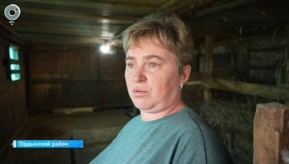 НОВОСТИ в 18:30 – 18 августа 2026