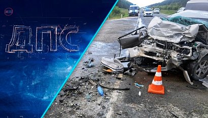 Программа "ДПС: Дорога. Перекресток. Судьба" | 17 июля 2025 | Телеканал ОТС