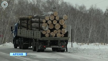 Большую часть пунктов приёма и отгрузки древесины легализовали в Новосибирской области