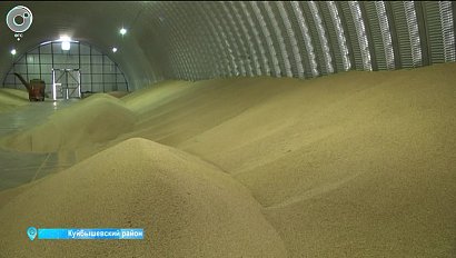 Современный зерноочистительно-сушильный комплекс построят в Куйбышеве