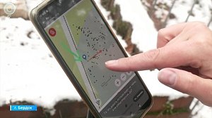 Тайны старого кладбища Бердска поможет раскрыть проект "Цифровой некрополь"