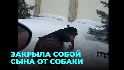 Женщина сражалась с ротвейлером ради спасения своего сына