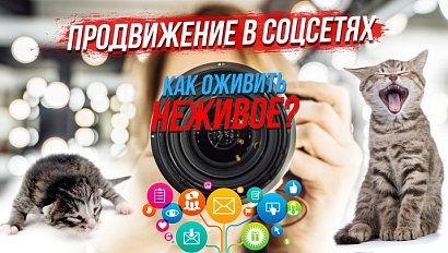 Секрет продвижения в соцсетях / Как сделать предметы звёздами фотокадра | СТРИМ ОТС LIVE — 27 мая