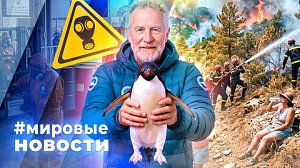 МИРОВЫЕ НОВОСТИ – 08 сентября 2026