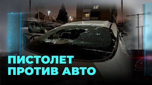 Неизвестный с оружием обстрелял автомобили соседей