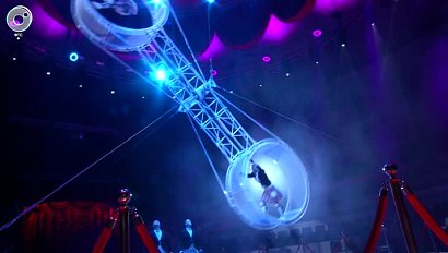 Грандиозную премьеру готовят в Новосибирском цирке