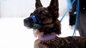 НОВОСТИ УТРА – 16 января 2026