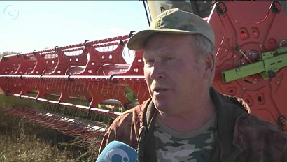 Хозяйства Куйбышевского района начали уборочную страду с задержкой