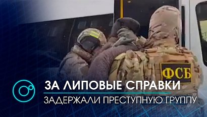 Пограничники ФСБ задержали группировку за подделку медсправок для въезда в Россию