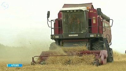 Аграрии Новосибирской области побили рекорды урожая