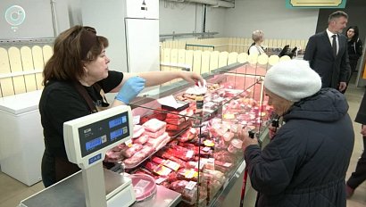 Областная социальная ярмарка возобновила работу на новом месте