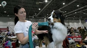 В Новосибирске впервые провели "ЗОО Сибириаду"