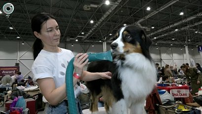 В Новосибирске впервые провели "ЗОО Сибириаду"