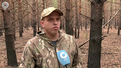 Спутниковое наблюдение и ИИ защищают леса Новосибирской области