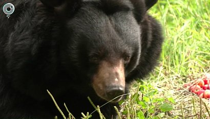 НОВОСТИ УТРА – 08 августа 2025