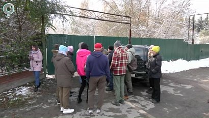 Прогулка с собакой в Новосибирске может обойтись в четыре тысячи рублей