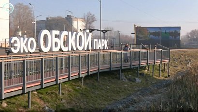 Заброшенная территория стала экопарком в Оби