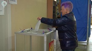 Предварительные итоги выборов главы региона подвели в Новосибирской области