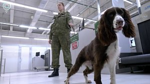 Новосибирская таможня изъяла реликвии и миллионы рублей за лето