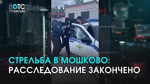 Стрельба в Мошково: следственный комитет закончил расследование