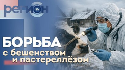 Регион LIFE  | Борьба с бешенством и пастереллезом | ОТС LIVE — прямая трансляция