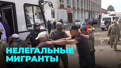 Полтысячи граждан ближнего зарубежья на улице Хилокской проверили полицейские