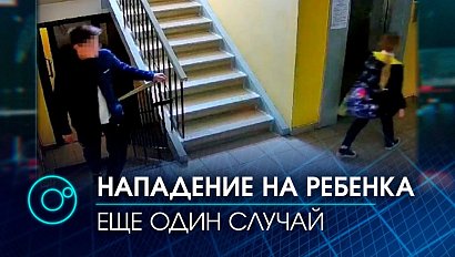 Участились случаи нападения на детей в подъездах домов в Новосибирске
