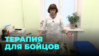 Кабинет психологической помощи для бойцов СВО открылся в Новосибирске