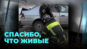 Два брата на дороге: Lexus и Toyota встретились в ДТП