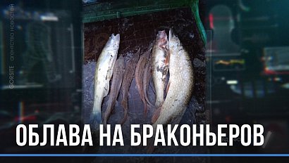 Двух рыбаков-браконьеров поймали сотрудники Рыбнадзора