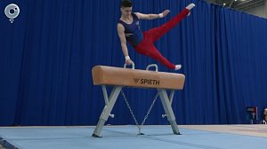 Сильнейшие гимнасты Сибири соревнуются в Новосибирске