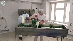 Семья из Новосибирска открыла сыроварню