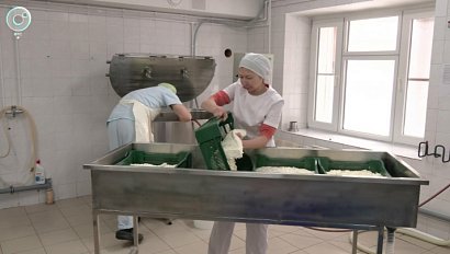 Семья из Новосибирска открыла сыроварню