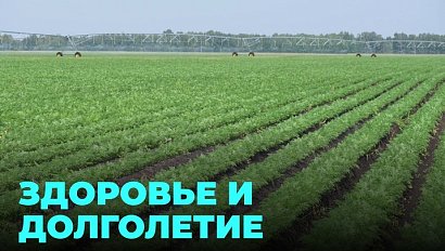 Как улучшить и продлить жизнь с помощью новых технологий?