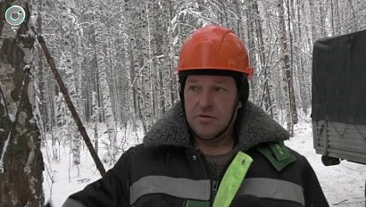 НОВОСТИ УТРА – 19 ноября 2025