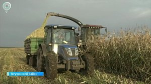 Аграрии Тогучинского района ускоряют темпы уборочной кампании