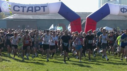 "Кросс нации" прошёл в Новосибирской области