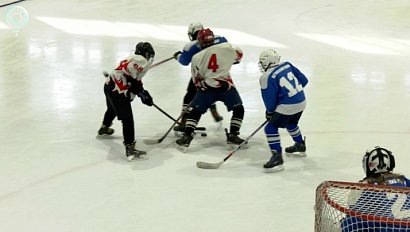 В Новосибирске стартовал сезон любительского хоккея