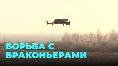 Дроны против браконьеров: как сейчас ведётся борьба с незаконной охотой