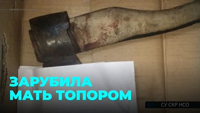 Школьница зарубила родную мать и попыталась сжечь тело