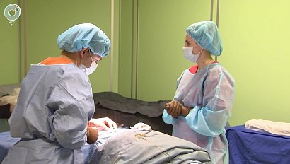 Травматологи со всей России делятся опытом в Новосибирске